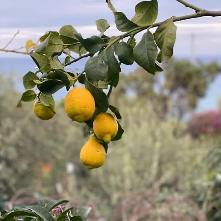 Σπίτι διακοπών La Casa Dei Ciocio