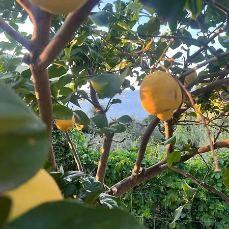 La Casa Dei Ciocio Σπίτι διακοπών Cefalù